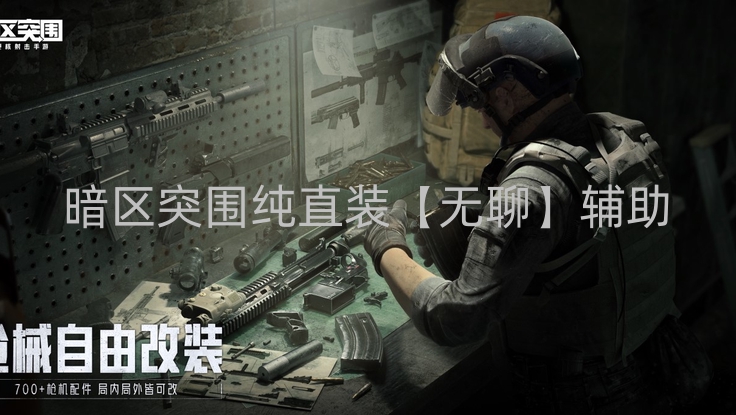 暗区突围纯直装【无聊】辅助
