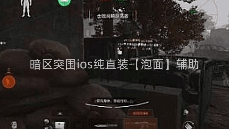 暗区突围ios纯直装【泡面】辅助