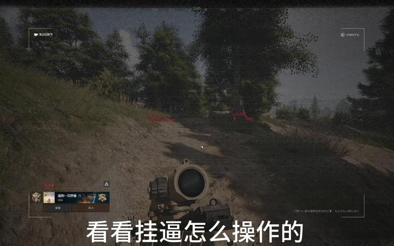 暗区突围直装火焰外挂危害大，透视自瞄毁公平，玩家该如何应对？